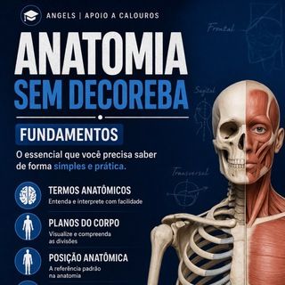 Foto do canal Descomplica Anatomia, de Educação