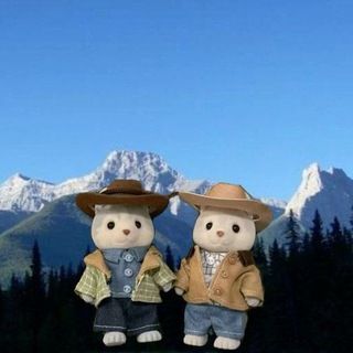 Foto do grupo Acampamento Brokeback, de LGBT