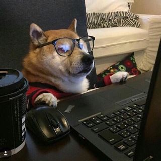 Foto do canal Trabalhos Online, de Empregos e Vagas