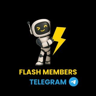 Foto do grupo Flash Members ⚡️🤖, de Divulgação