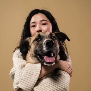 Foto do grupo Adestramento Canino: aprenda a educar seu cachorro, de Animais
