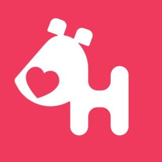 Foto do grupo Doghero Região ABC, de Animais