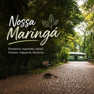Foto do grupo Nossa Maringá, de Cidades e Regiões