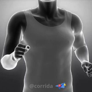 Foto do grupo Corrida, de Academia