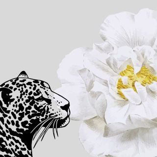 Foto do canal Achadinhos da Shein, de Moda e Beleza