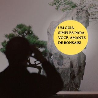 Foto do grupo Como Cuidar de Bonsai, de Natureza