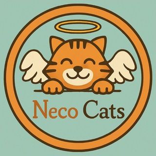 Foto do canal Neco Cats, de Animais
