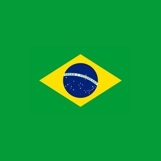 Foto do grupo Grupo Oficial da Direita, de Política